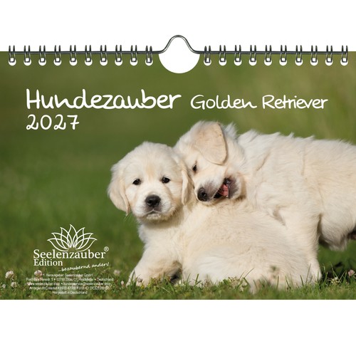 Magia per cani golden - cani,