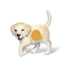 RAVENSBURGER TIPTOI 00311 -