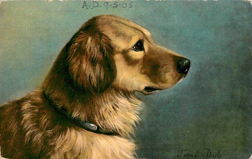 Artist signed puppy - artist,
