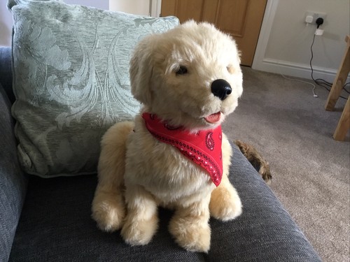 Joy for all companion - joy, pup