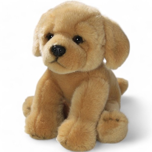 Carl dick cucciolo golden - dick,