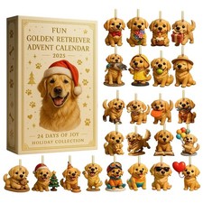 Fun Golden Retriever