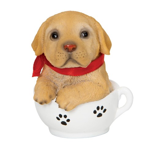 Precious golden retriever - precious,