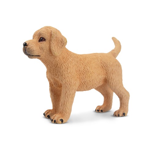 Toymany ml00160 golden - toymany,