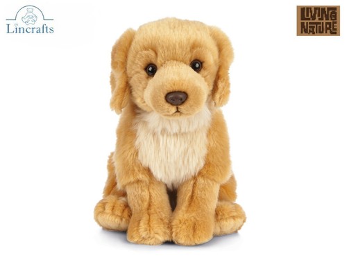Peluche cucciolo golden - peluche,