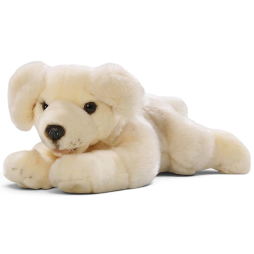 Carl dick golden - dick, retriever