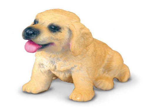 Cucciolo golden retriever - di,