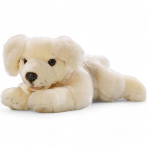 Carl dick golden retriever - carl,