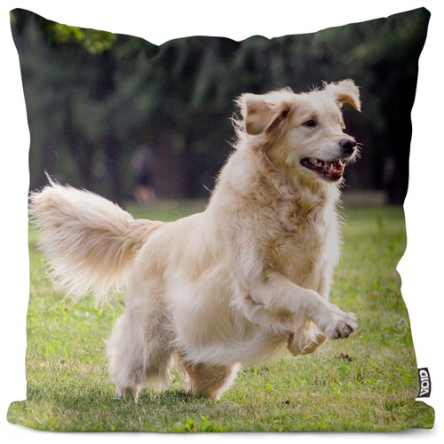 Fodera cuscino golden - cuscino,