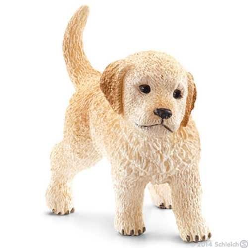 Cucciolo golden retriever - di,