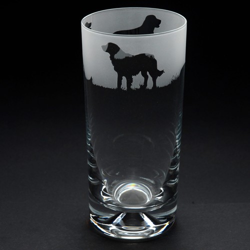 Vetro highball per cani golden - highball,