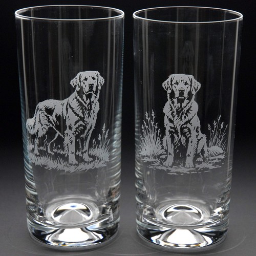 Vetro highball per cani golden - highball,