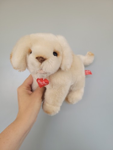 Pia club golden retriever - pia,