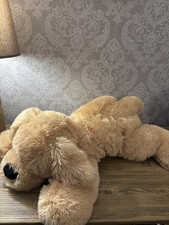 Animal Adventure ASDA Grande