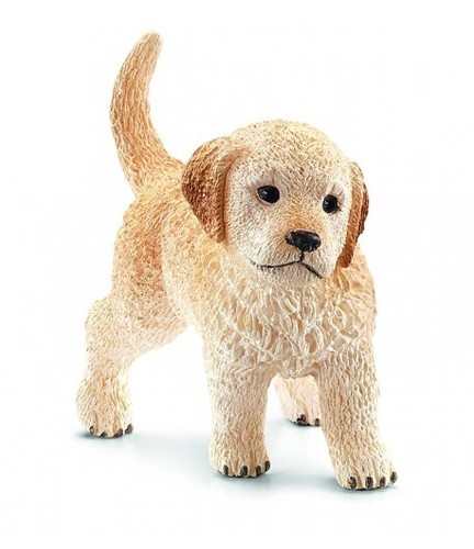 Cucciolo golden retriever - di,