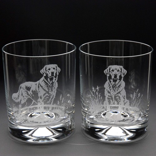 Bicchiere whisky per cani - bicchiere,