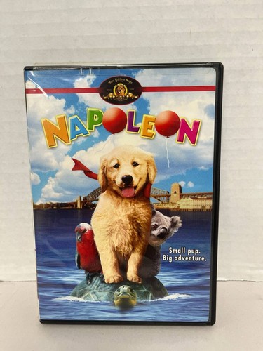 Napoleon dvd mgm - dvd, golden