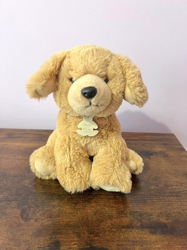 Histoire ours cane - histoire, d'ours