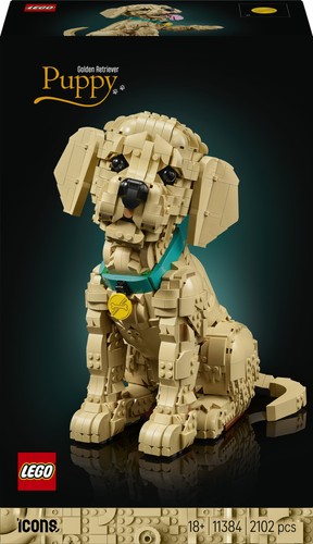 Lego icons 11384 - icons, di