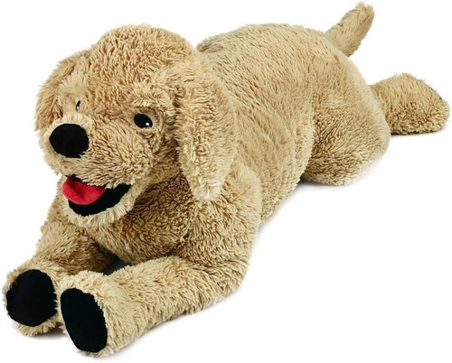 Lottofancy golden retriever - lottofancy,